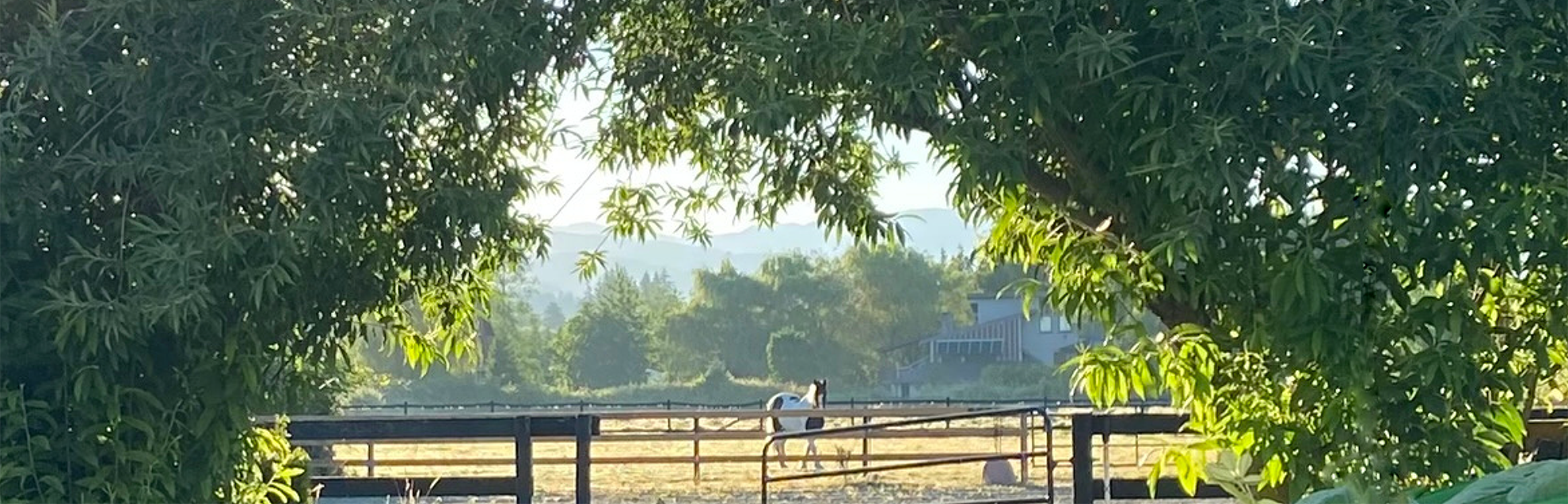 River Haven Farm logo